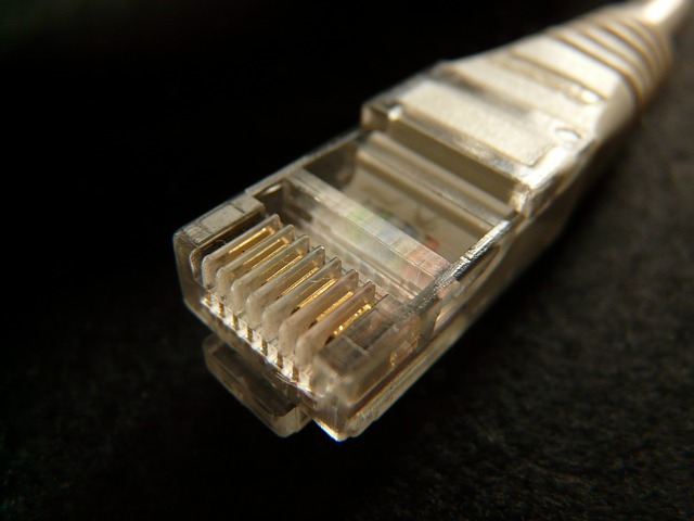 Broadband is more favoured than chocolate and alcohol, survey finds